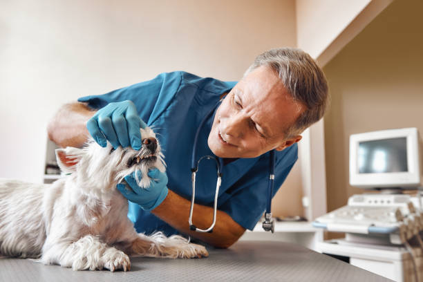 Best Emergency Tooth Extraction in Merritt Island, FL