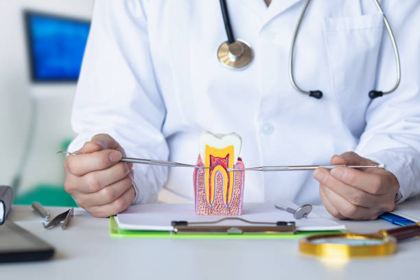 Best Emergency Treatment for Dental Infections or Abscesses in Merritt Island, FL